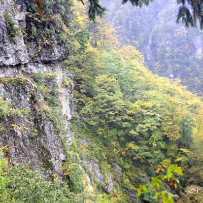 2016/10/15～17の日程で歩いてきた下ノ廊下、旧日電歩道、水平歩道ルートより、3日目10/17の阿曽原温泉小屋から欅平を経て宇奈月方面のうち、阿曽原温泉小屋→折尾谷砂防堤トンネル→大太鼓編。 行程地図はこちら。この日の行程は阿曽原温泉小屋→折尾谷砂防堤トンネル→大太鼓→志合谷トンネル→蜆谷→欅平→宇奈月→富山→東京。